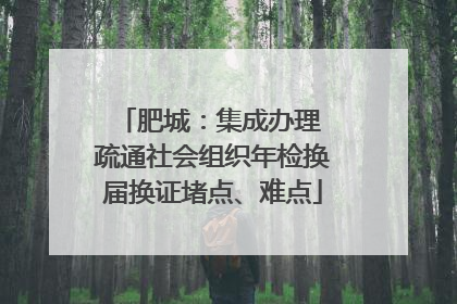 肥城：集成办理 疏通社会组织年检换届换证堵点、难点